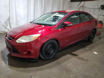  Salvage Ford Focus