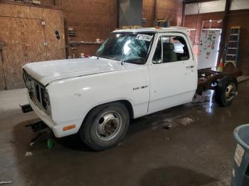  Salvage Dodge D Series