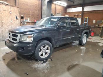  Salvage Dodge Dakota