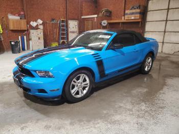  Salvage Ford Mustang