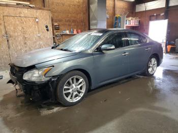  Salvage Nissan Maxima