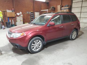  Salvage Subaru Forester