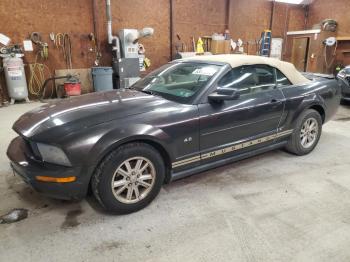  Salvage Ford Mustang