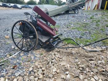  Salvage Amis Buggy