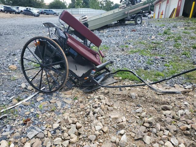  Salvage Amis Buggy