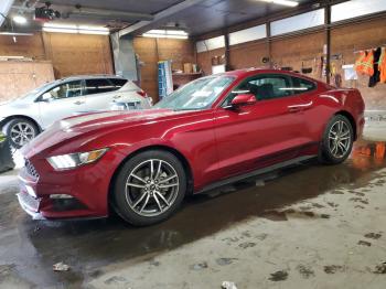  Salvage Ford Mustang