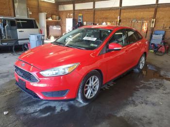  Salvage Ford Focus