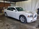Dodge Charger Se Image 12