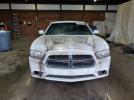 Dodge Charger Se Image 11