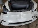 Tesla Model Y Image 4
