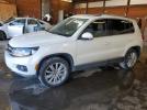 Volkswagen Tiguan S Image 1