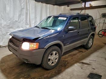  Salvage Ford Escape