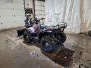 Polaris Atv 325 4x4 Image 2
