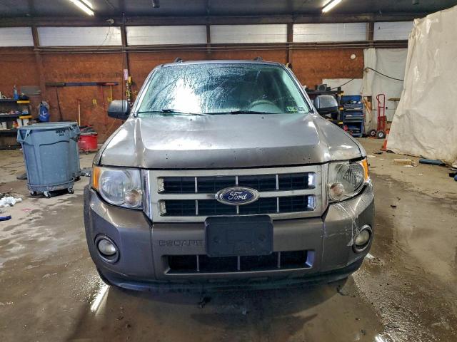 Ford Escape Xlt Image 3