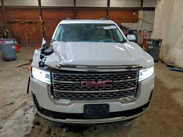 GMC Acadia Denali Image 6