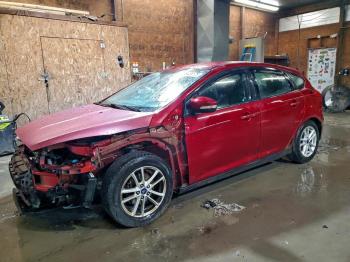  Salvage Ford Focus