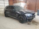 BMW X Series Xdrive50i Image 3